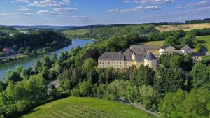 Palzem的住宿－Schloss Thorn，享有河边大房子的空中景色