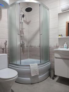 a bathroom with a shower and a toilet and a sink at Apartments Karić Aerodrom Tuzla in Dubrave Gornje