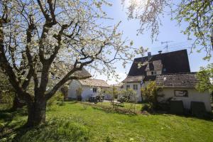 een huis en een boom in een tuin bij Dreimädelshaus in Uhldingen-Mühlhofen