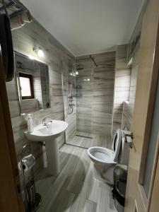 ein Bad mit einem WC, einem Waschbecken und einer Dusche in der Unterkunft Casa Bujor de Munte Dragoslavele in Dragoslavele