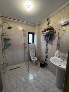 een badkamer met een douche, een toilet en een wastafel bij Casa Bujor de Munte Dragoslavele in Dragoslavele