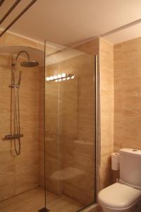 a bathroom with a glass shower with a toilet at PARALIA Souli di mare in Parga