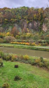 a view of a river with trees in the background at lovely apartment, gite, visit the vosges france in Fontenoy-le-Château