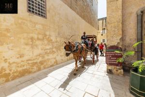 Hosté ubytování Historical Mdina Gem, Lux HOME with Rooftop Pool by 360 Estates