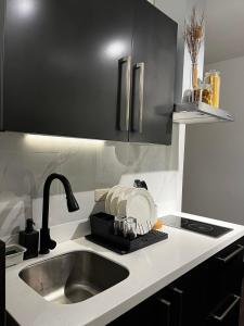 a kitchen counter with a sink and a plate on it at Prime Posh Downtown Condo in Manila