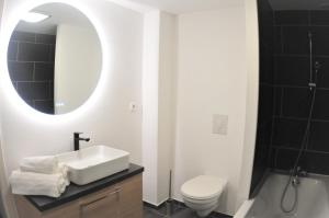 a bathroom with a sink and a toilet and a mirror at Le Cocon : à deux pas de la gare in Nancy