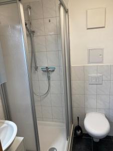 a bathroom with a shower with a toilet and a sink at Home- Alt-Winzerla in Jena +8 photos