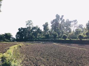 Paesaggio naturale nelle vicinanze della stanza in casa privata
