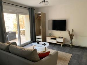 a living room with a couch and a tv at Le Cocon : à deux pas de la gare in Nancy