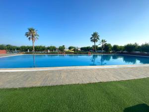 a large swimming pool with palm trees in the background at Camping Resort Els Pins in Malgrat de Mar