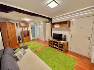 a living room with a couch and a green rug at Andra Mari Etxea - Apartamento en parte antigua in Bermeo