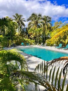 una gran piscina con sillas y palmeras en Caraib'Bay Hotel en Deshaies