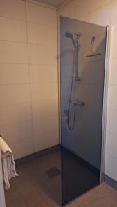 a shower in a bathroom with a glass door at Telemark Motel and Apartment in Hauggrend