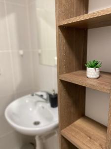 a bathroom with a sink and a toilet and a white sink at Apartmány Plzeň Zborovská 22 a in Plzeň