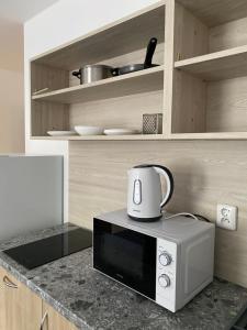 Kuchyň nebo kuchyňský kout v ubytování Apartmány Plzeň Zborovská 22 a