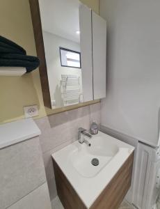 ein Bad mit einem Waschbecken und einem Spiegel in der Unterkunft Studio Centre Douai - Wifi in Douai