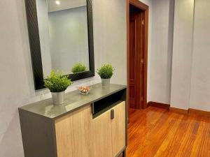 ベルメオにあるIrakas Etxea - Piso en zona tranquila de Bermeoの2つの鉢植えが置かれたカウンターのある部屋 +29枚の写真