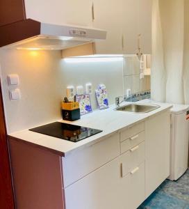 a white kitchen with a sink and a counter at Active Wellness hotel U zlaté rybky in Vyškov