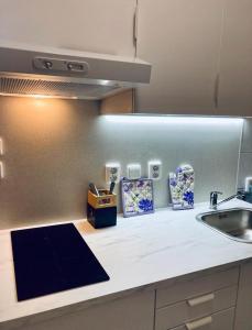 uma cozinha com um lavatório e uma bancada com um lavatório em Active Wellness hotel U zlaté rybky em Vyškov