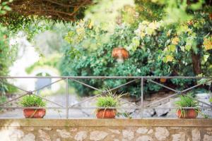 Gallery image of Villa l'Approdo in Anacapri