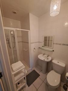 a bathroom with a toilet and a shower and a sink at New Lisnagalt Lodge in Coleraine
