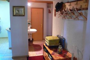 um quarto com uma cozinha com um lavatório e uma mesa em TRIXI´S GUESTHOUSE em Hřensko