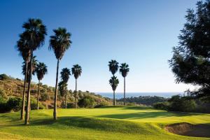 een groep palmbomen op een golfbaan bij La Terraza del Campo de golf Playa Piscina y parking gratuito in Torre de Benagalbón