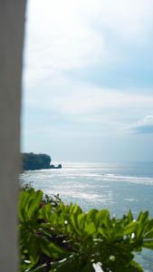 a view of a body of water with a tree at Ulunia in Uluwatu