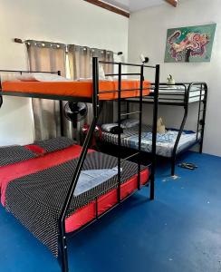 Postel nebo postele na pokoji v ubytování Luminosa Uvita Hostel