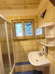 y baño pequeño con lavabo y ducha. en Wiking en Szklarska Poręba