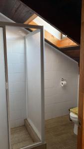 a bathroom with a glass shower with a toilet at BELLAS Y COMODAS HABITACIONES EN LA SERENA in La Serena