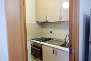 Η κουζίνα ή μικρή κουζίνα στο Luxury condo in Tirana