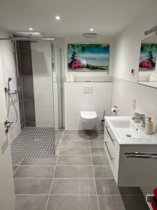 a bathroom with a shower and a toilet and a sink at Wohnung im schönen Bielstein in Wiehl