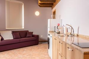 uma cozinha com um lavatório e um sofá num quarto em Pallozas Turísticas Ridicodias - A Vieira em Laza