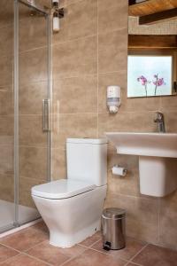 ein Badezimmer mit Toilette und Waschbecken in der Unterkunft Pallozas Turísticas Ridicodias - A Vieira in Laza