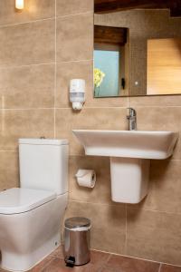 a bathroom with a sink and a toilet and a mirror at Pallozas Turísticas Ridicodias - A Vieira in Laza