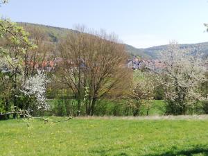 a field with trees and flowers in a field at Apfelbluete und Paradies 