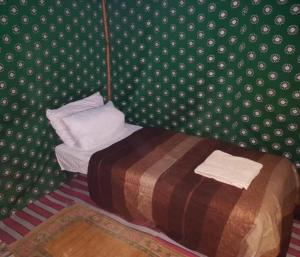 a small bed in a room with a green wall at Merzouga nomad style in Merzouga