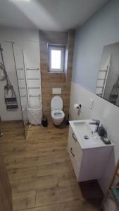 a bathroom with a toilet and a sink at Apartmán Na Kvetnej - vlastná záhrada, parkovanie in Poprad +28 photos