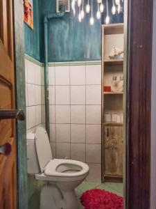 a bathroom with a toilet in a room at Siedlisko Otulenie in Bartoszyce