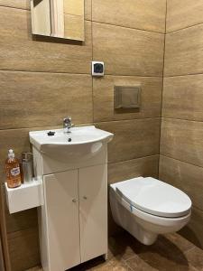 a bathroom with a sink and a toilet at DFJJaroslaw56 in Jarosław +8 photos