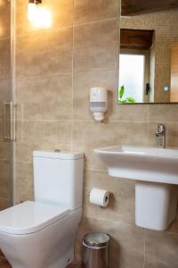a bathroom with a toilet and a sink and a mirror at Pallozas Turisticas Ridicodias - A Pedra in Matamá +29 photos