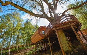 a tree house built on a tree trunk at The Fish Hotel in Broadway