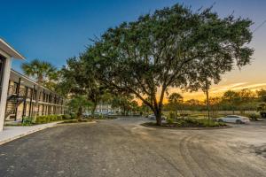 a tree in the middle of a street at Charleston Creekside Inn in Charleston