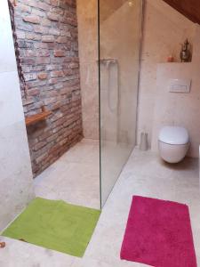 a bathroom with a toilet and a glass shower at A loft apartment in warsaw in Michałowice
