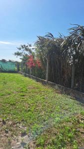 clôture dans un champ planté d'arbres et d'herbe dans l'établissement Habitación en hermosa casa de descanso, à Laguna Brava