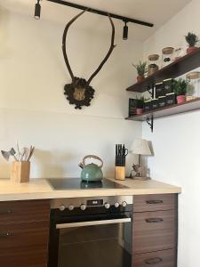 Kjøkken eller kjøkkenkrok på Ferienwohnung Marianne