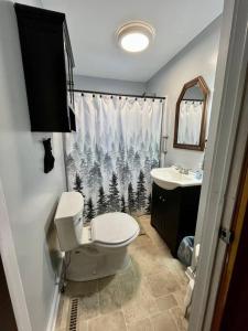 y baño con aseo y lavamanos. en Moose Riverside Bungalow 3BR Home Old Forge NY, en Old Forge