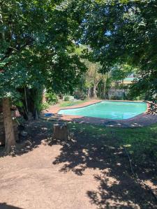 ein leerer Pool in einem Park mit einem Baum in der Unterkunft Fairfield Guest House in Pietermaritzburg