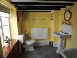 a bathroom with a white toilet and a sink at The Cottage on the Green in Winkleigh